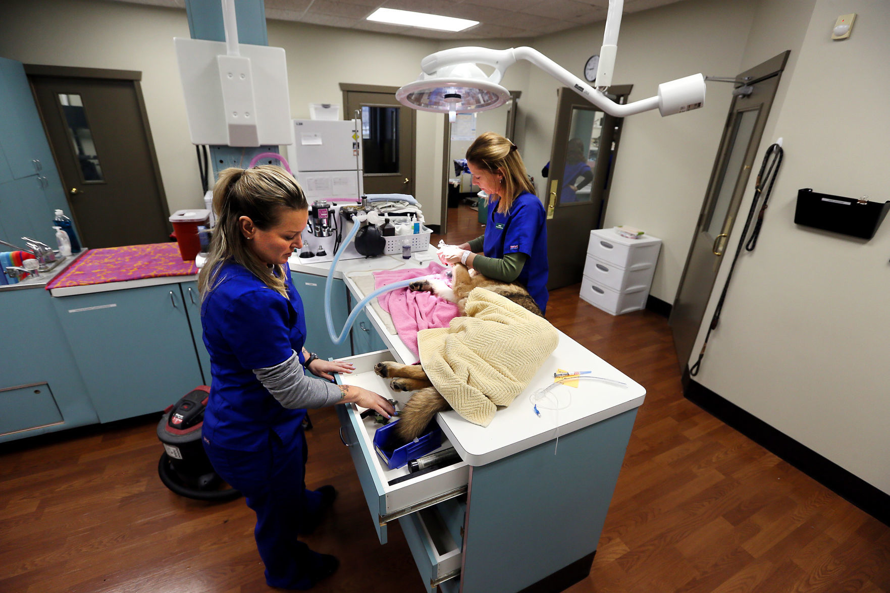 022419-qct-fea-spayday-011